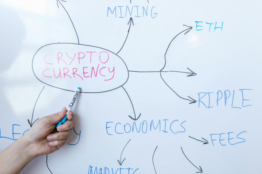 Why Fintechee Is the Smart Choice for Emerging Forex Brokerages