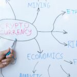 Why Fintechee Is the Smart Choice for Emerging Forex Brokerages