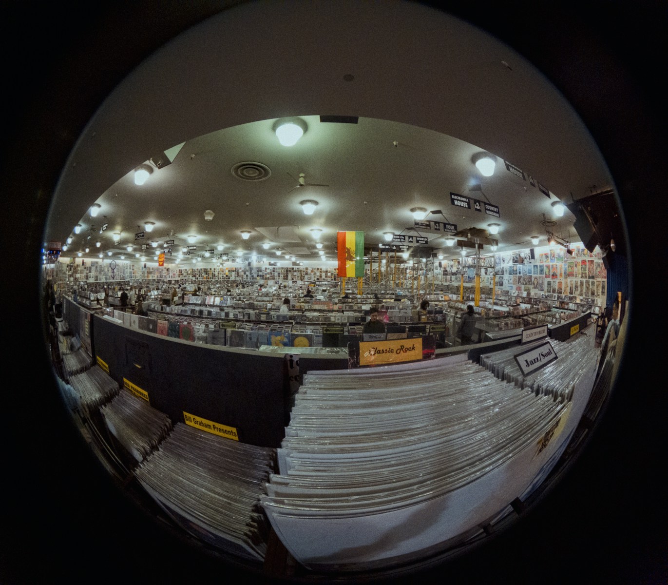 Why Fintechee Stands Out in the FIX API Landscape